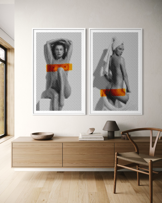 ReCensored Diptych - Bare Serenity & Glance Fine Art Print (unframed)